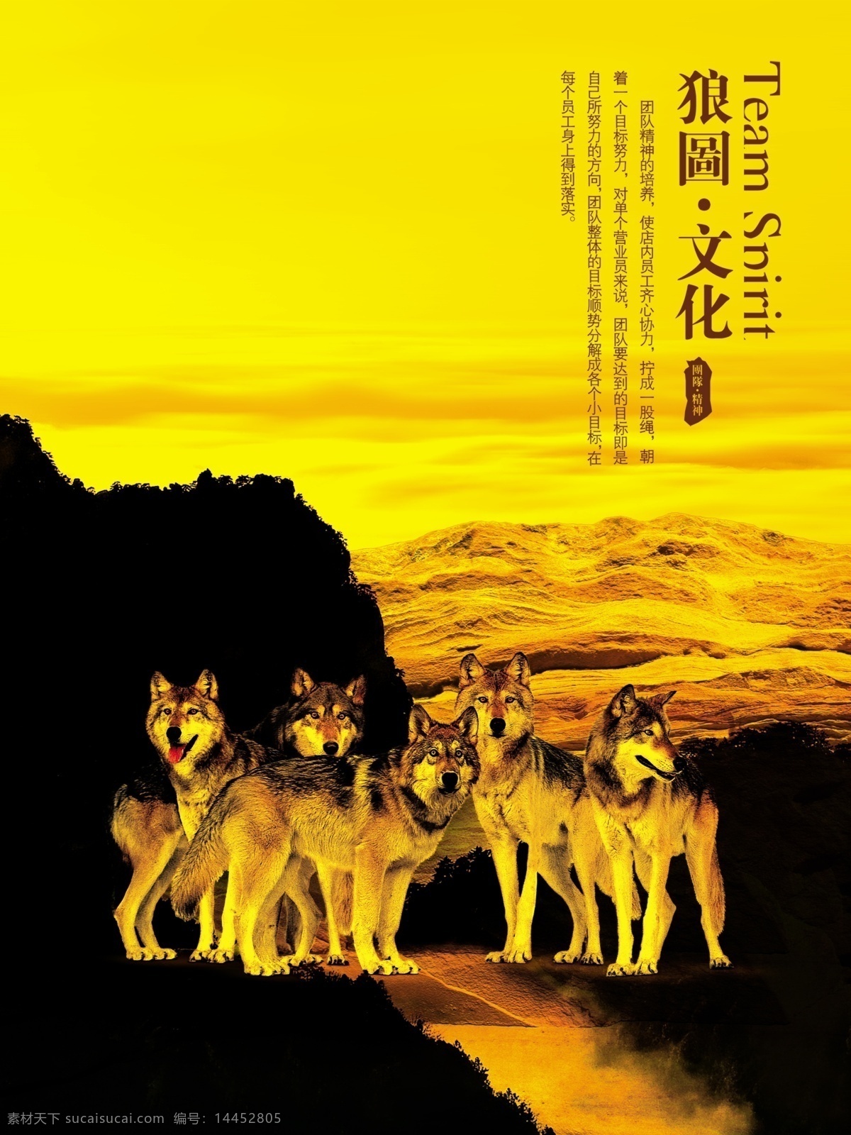 狼 图 文化 山石 天空 五匹狼 海报 企业文化海报
