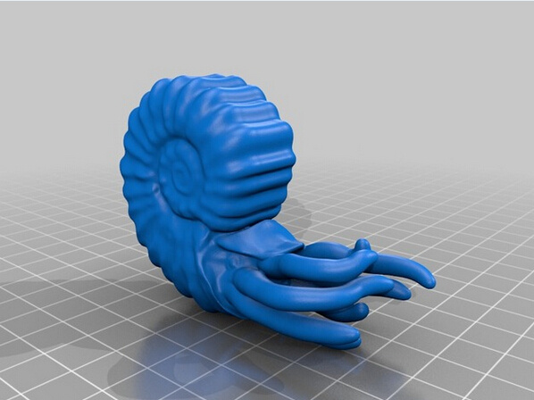 鹦鹉螺 3d模型素材 动植物模型 3d打印模型