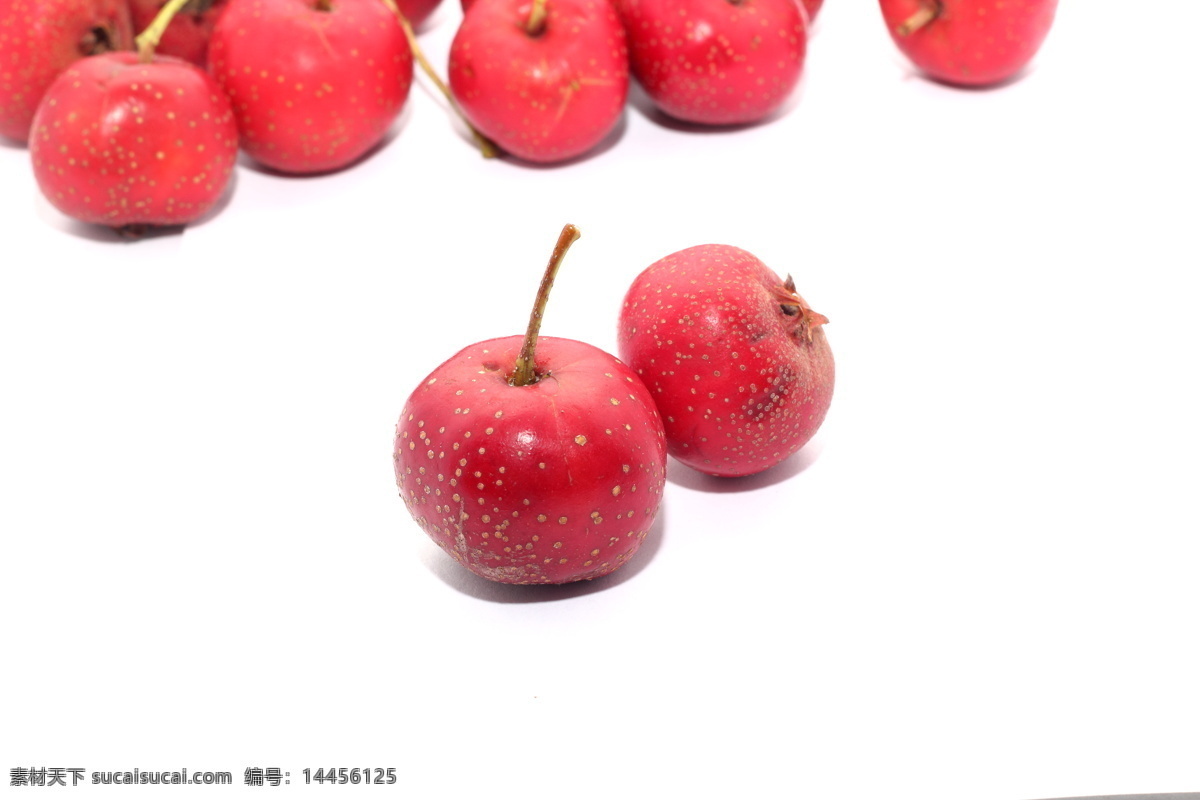 山楂 山楂果 水果 果实 果 果子 红果 红山楂 生物世界
