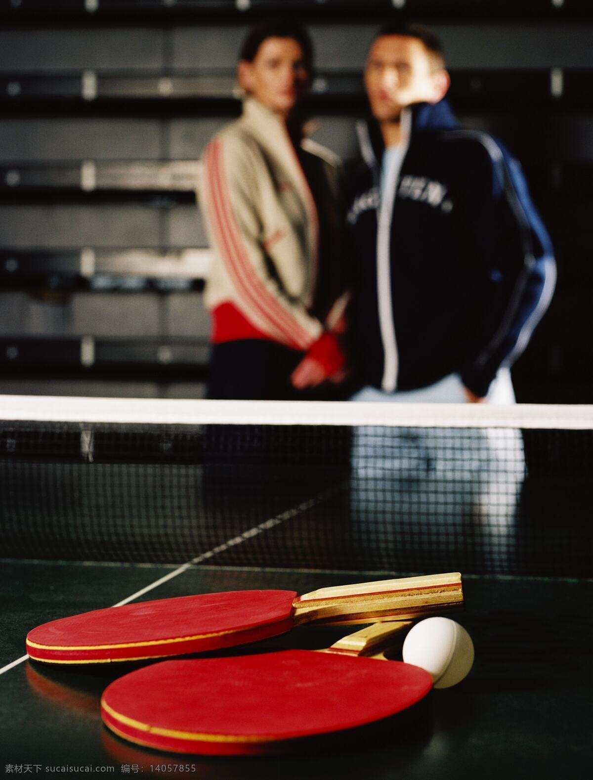 乒乓球运动 素材图片 国外运动 运动人物 运动素材 运动 体育 乒乓球 体育运动 生活百科