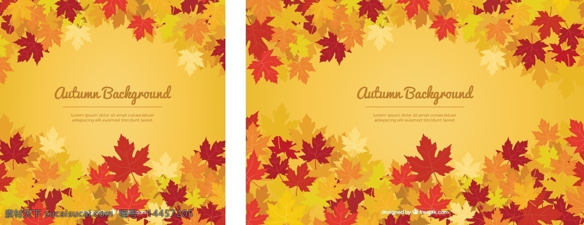 温暖 秋天 背景 树叶 自然 森林 树木 树枝 季节 落叶 温暖的颜色