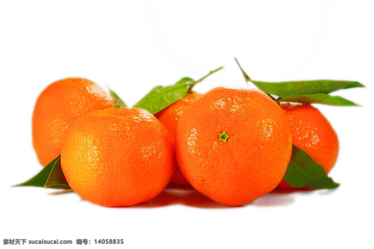 新鲜 砂糖 橘 高清 砂糖橘 橘子 果实 果子