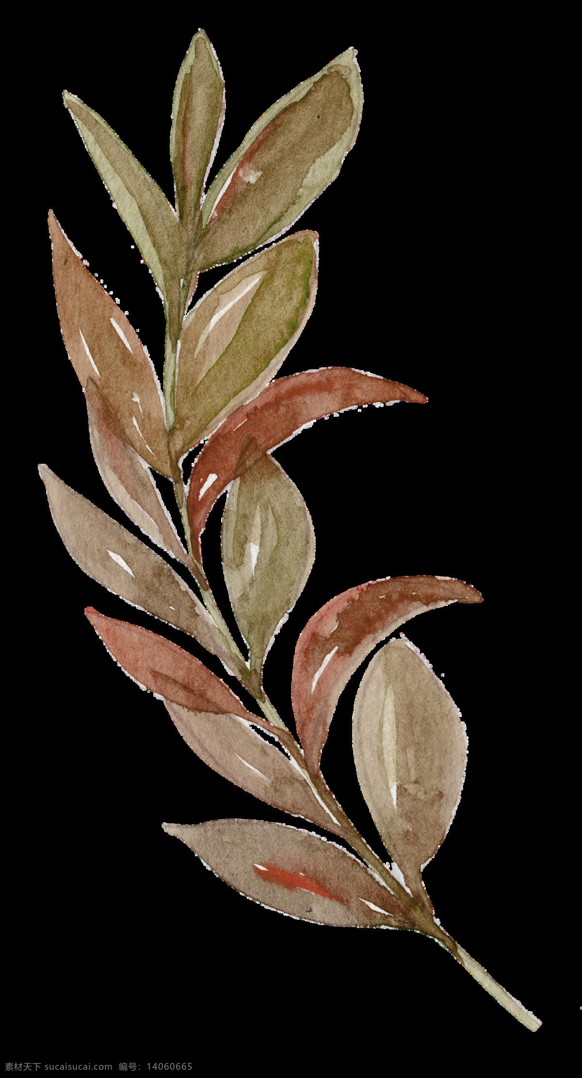 果肉 树叶 卡通 透明 绿色 植物 透明素材 免扣素材 装饰图案