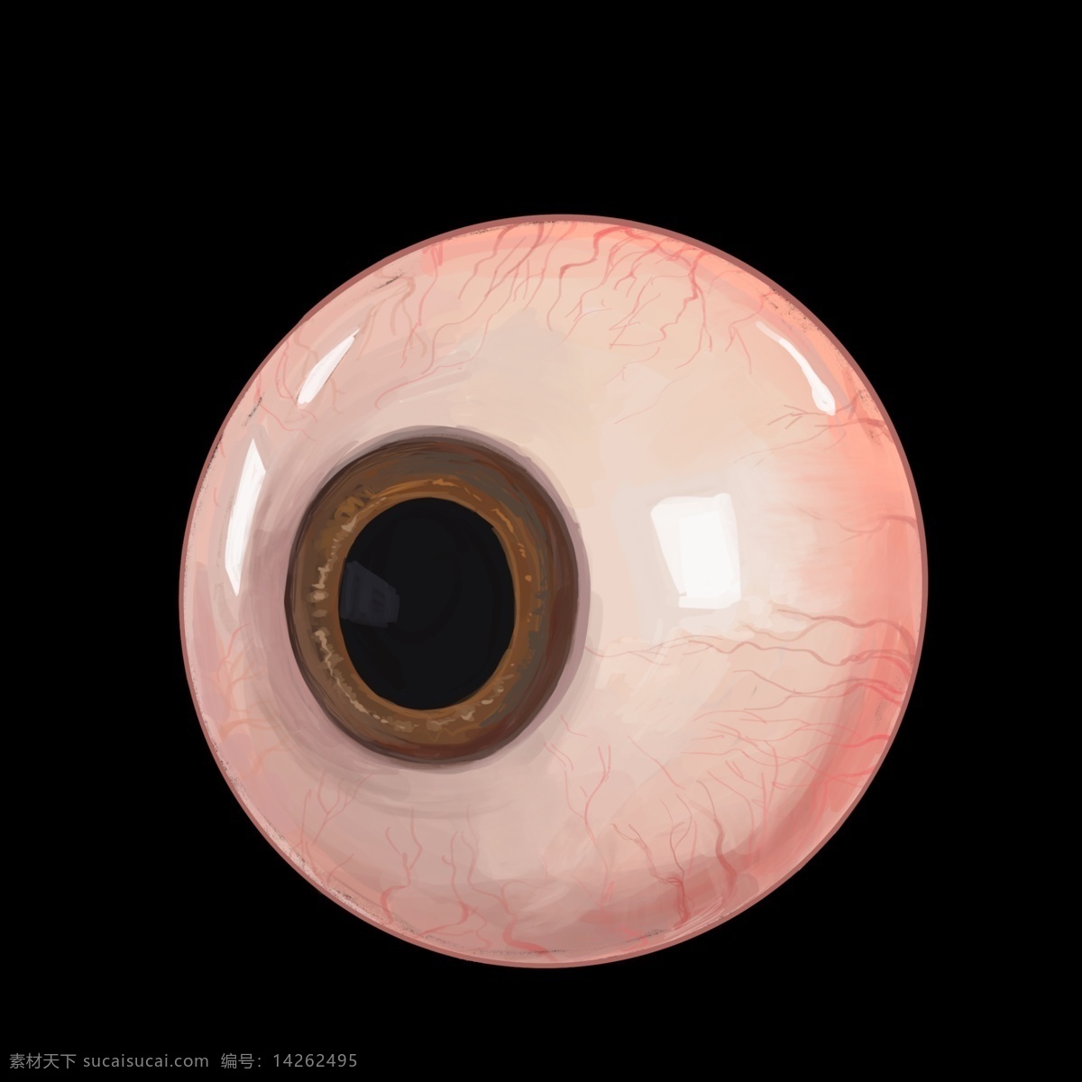 眼部 器官 卡通 插画 卡通插画 器官插画 人体器官 身体部位 健康器官 眼部的器官 大大的眼睛