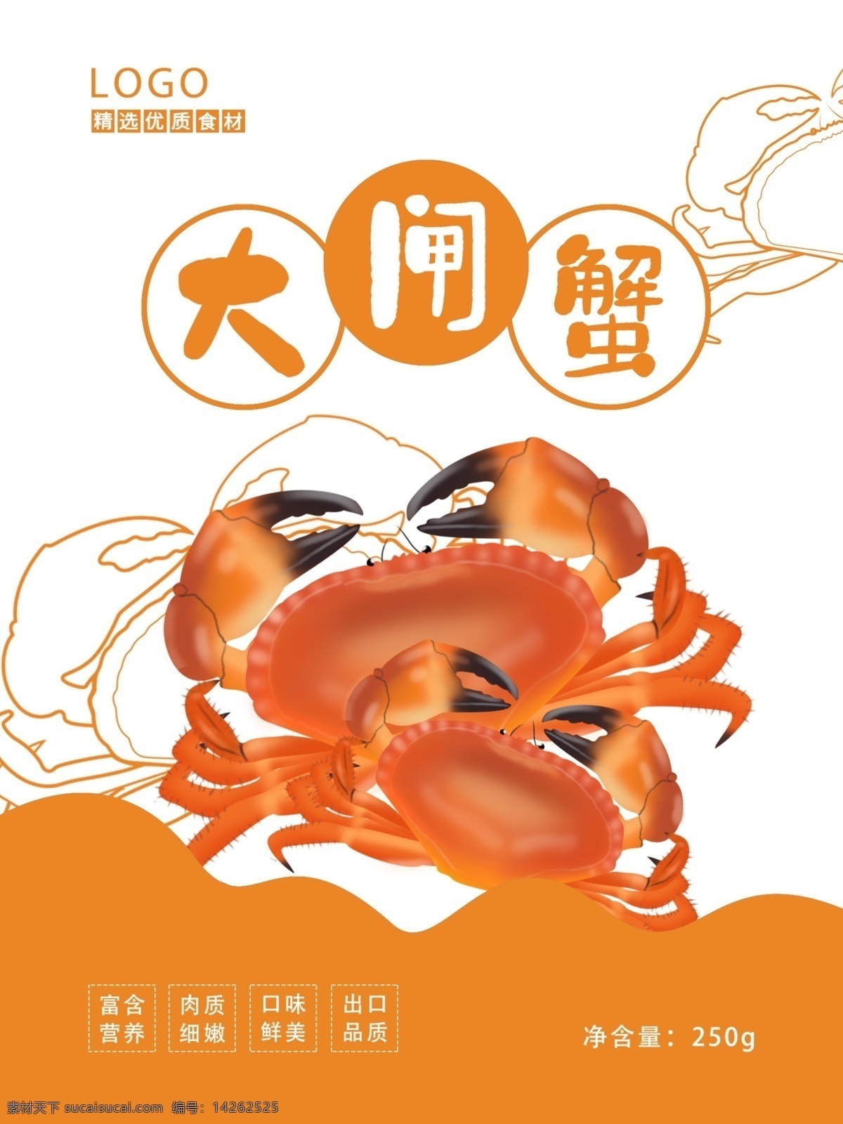 原创 食品包装 海鲜 大闸蟹 包装 插画 包装插画 螃蟹 海报 美食 海鲜包装