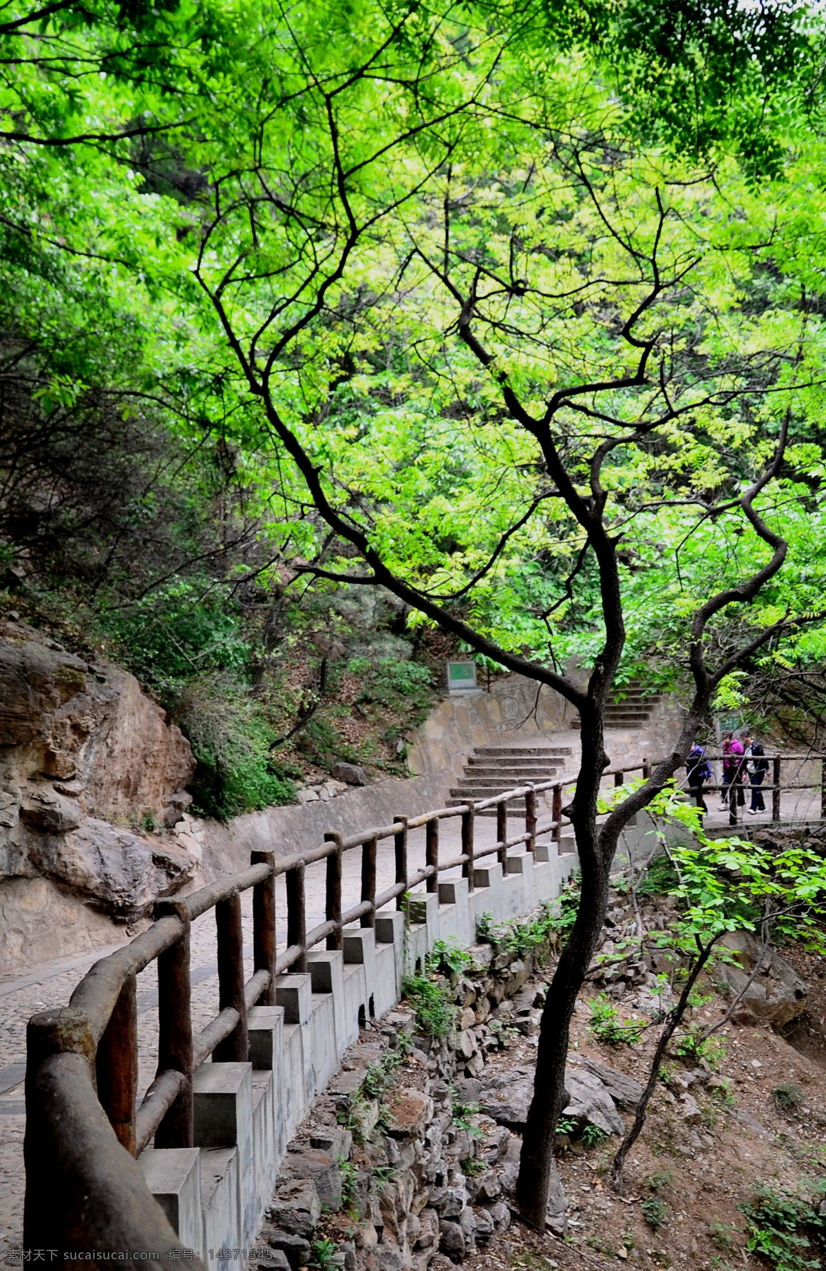 天桂山风景区 天桂山 台阶 石阶 道院 道观 深山古刹 河北天桂山 名山古刹 名山大川 古刹 石家庄旅游 石家庄风光 石家庄天桂山 河北旅游 平山县 平山县旅游 平山县天桂山 天桂山风光 皇家道院 北武当山 北武当 旅游摄影 国内旅游