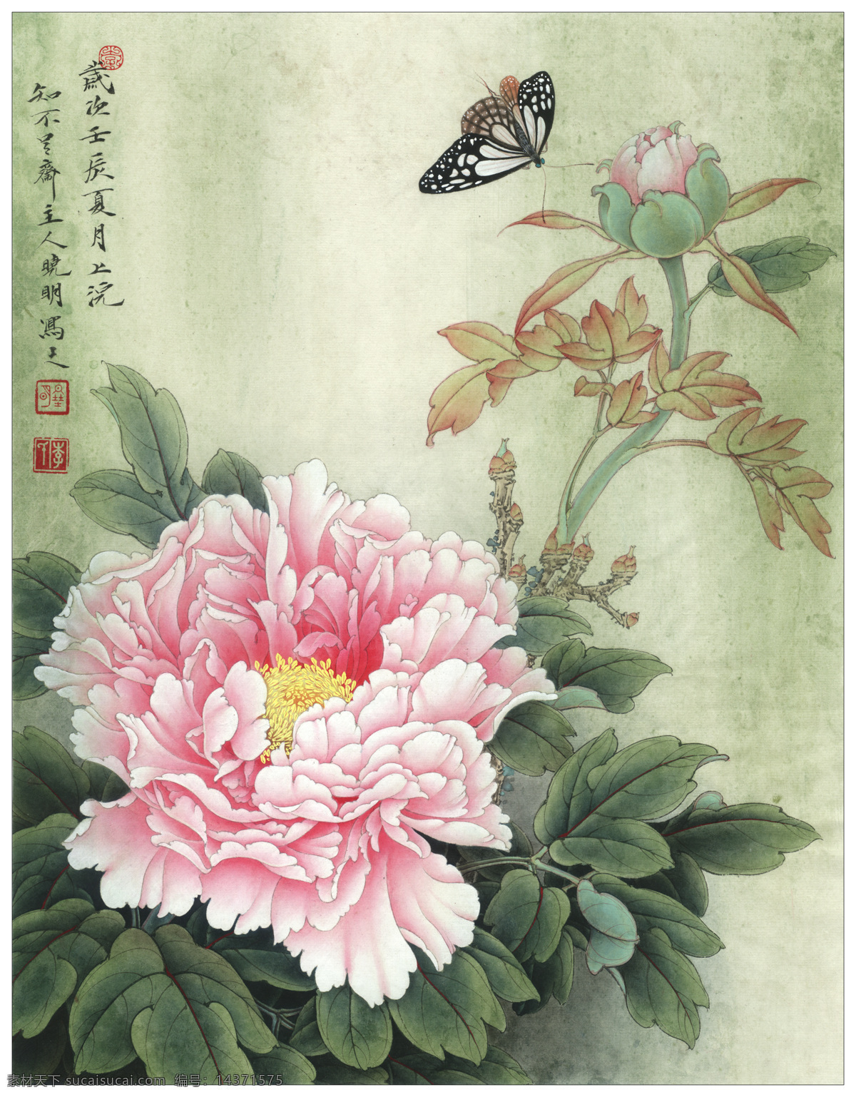 工笔牡丹 牡丹花 赵粉 国画牡丹 水墨牡丹 牡丹挂画 牡丹墙纸 古画 国画 文化艺术 绘画书法