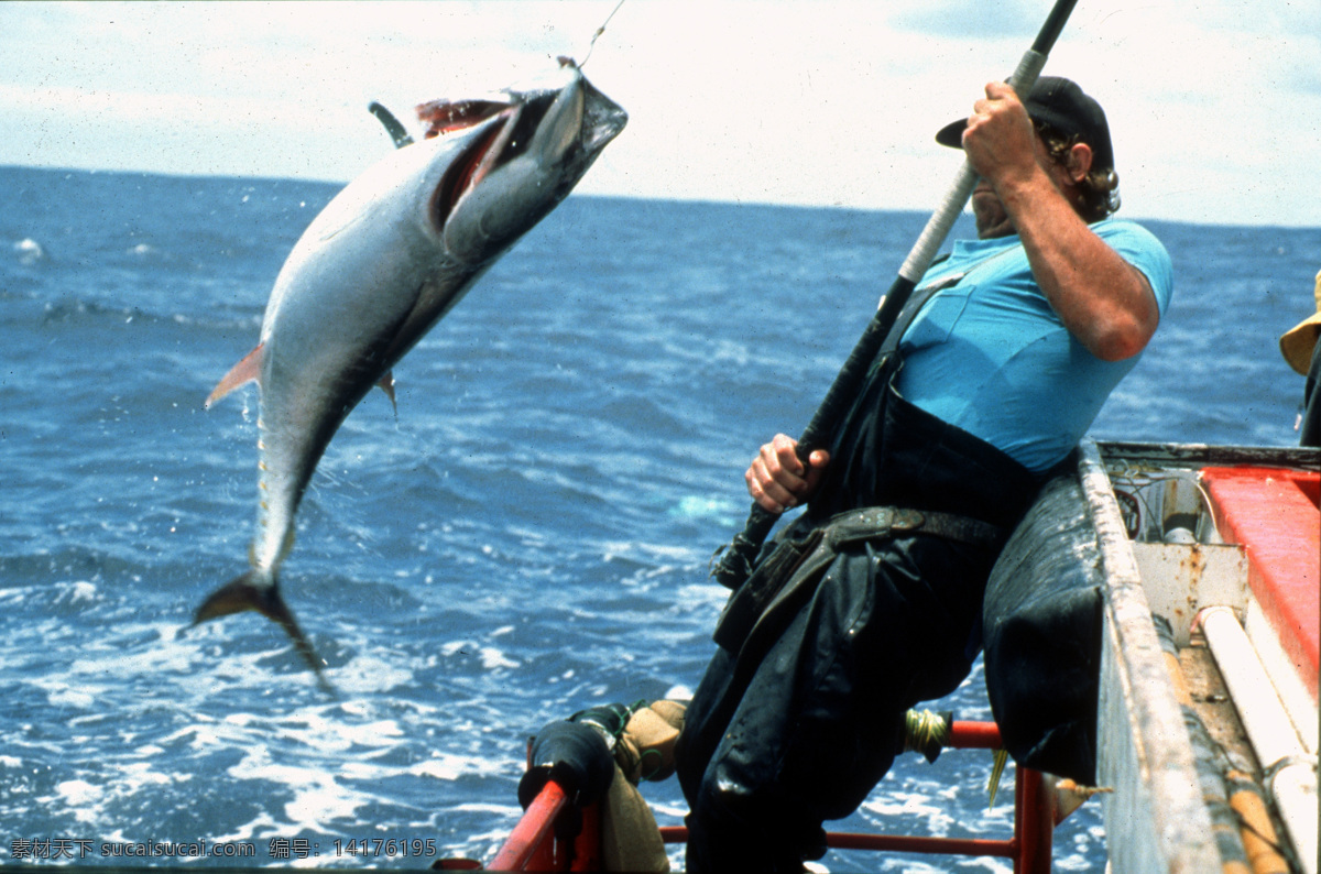钓鱼 金枪鱼 深海 海洋 国外 生物世界 海洋生物