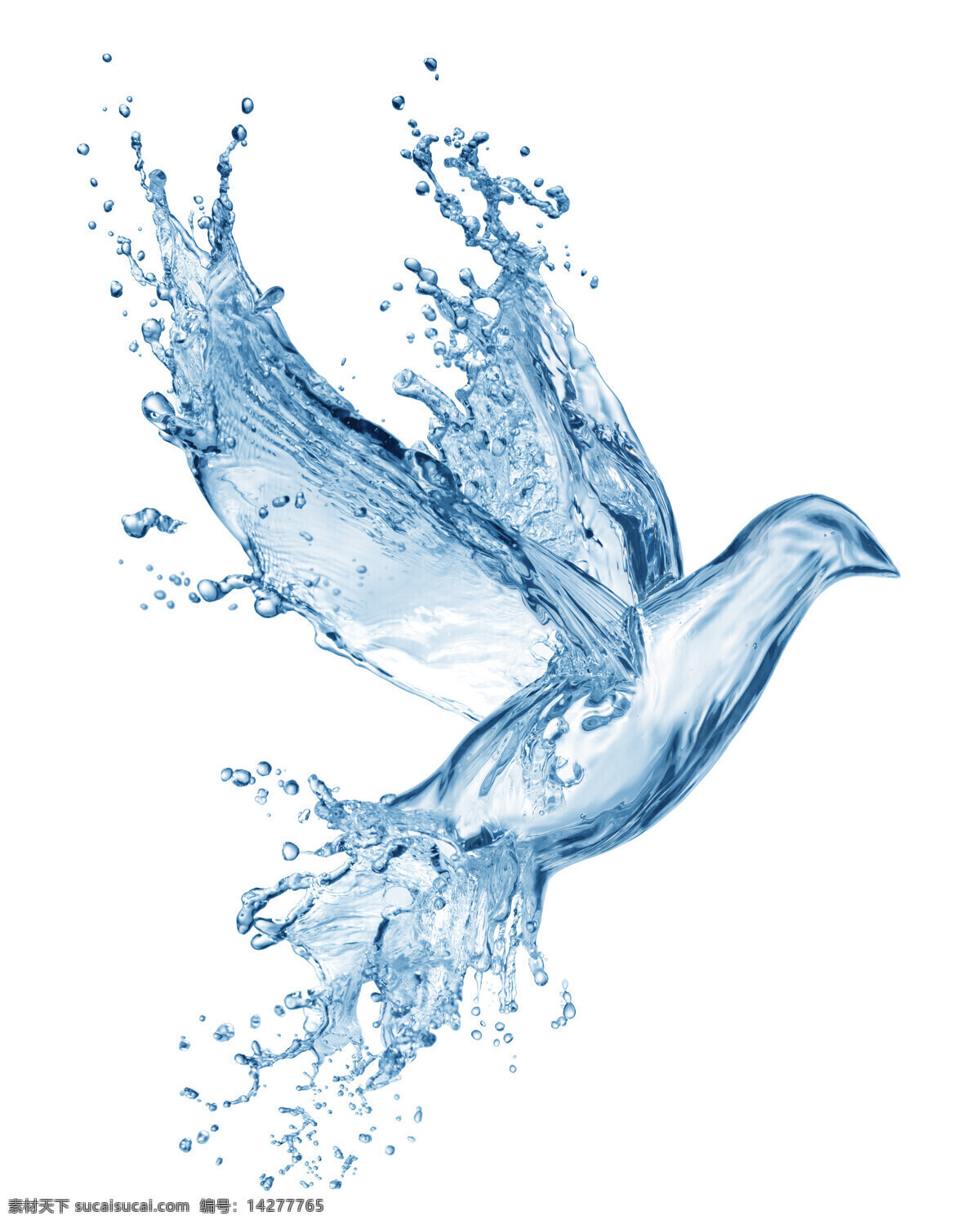 水溅的飞鸟 创意概念 水花 水珠 透明 剔透 鸟 飞鸟 冰水烈火 生活百科 白色