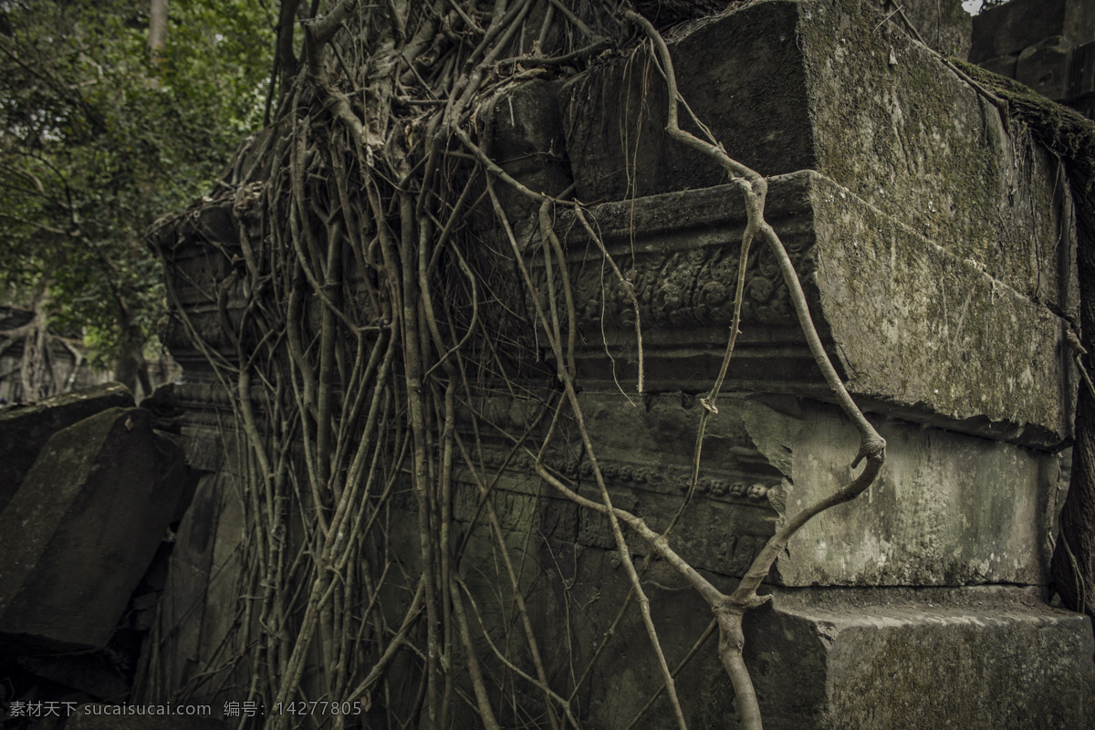 柬埔寨崩密列 柬埔寨 崩密列 旅游 风景 古建 古书 世界遗产 树与建筑 吴哥窟 石头 石堆 自然风景 旅游摄影