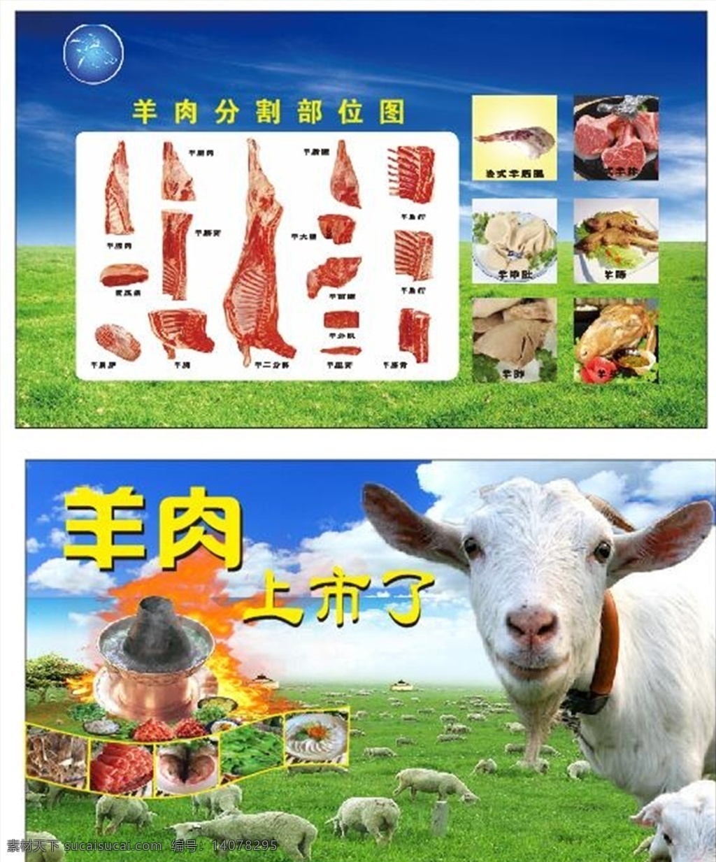 羊肉 上市了 羊肉分割图 部位图 广告 宣传 海报 围挡 装饰 气氛 活动 促销 物料