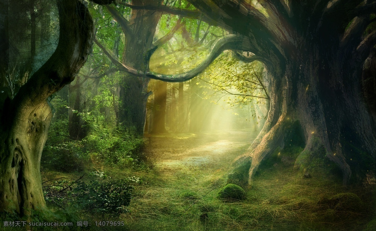 梦幻森林 梦幻 森林 丛林 树林 热带 雨林 童话 唯美 场景 背景 高清 合成 自然景观 分层