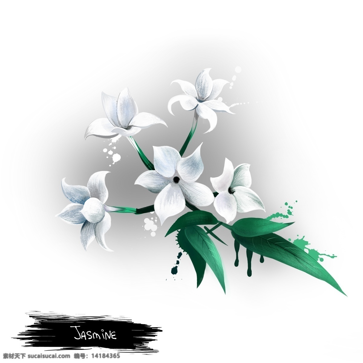 手绘 清雅 白色 花朵 源文件 绿叶 白花 水彩 灰色 装饰图案