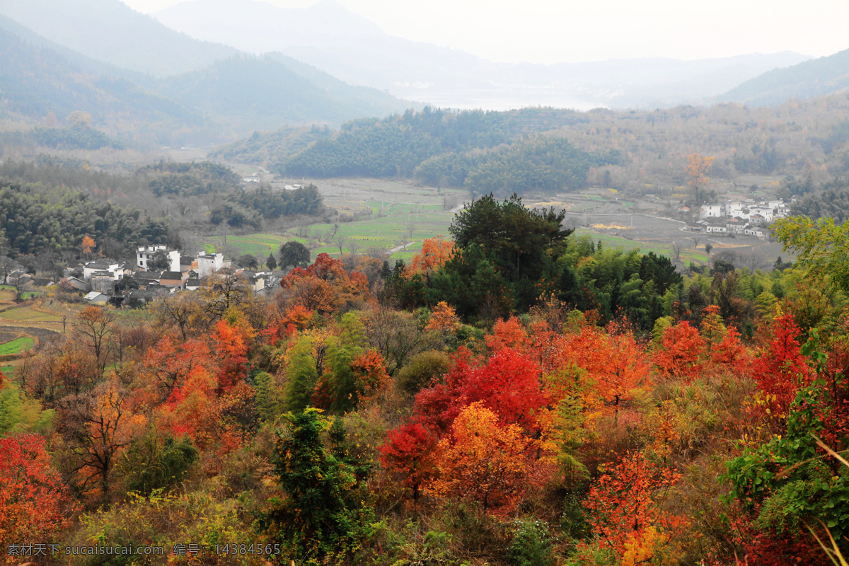 安徽 黄山 皖南 塔川 秋色 宏村 协里 黟县 最美 红叶 秋天 秋景 皖南塔川秋色 旅游摄影 国内旅游