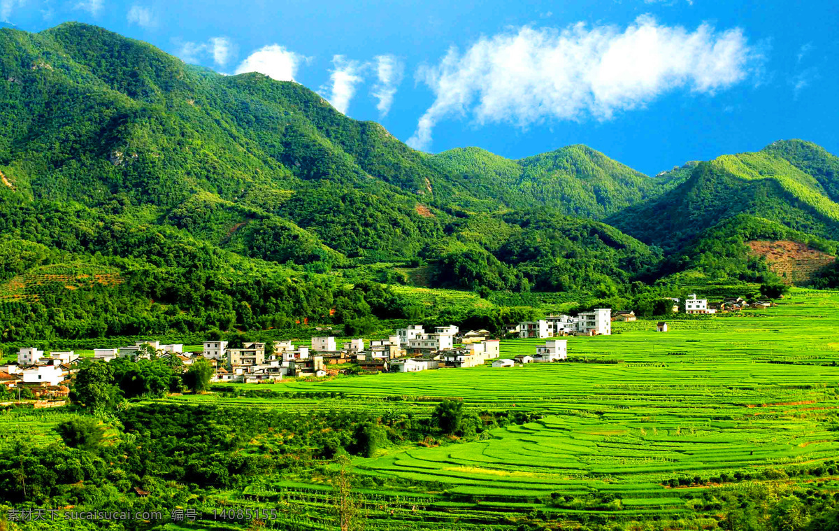 自然景观 自然风景 高清 乡村田园