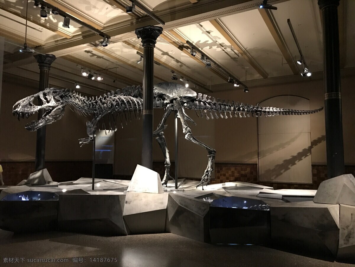 恐龙骨 侏罗纪 侏罗纪公园 动物 白垩纪 暴龙 翼龙 三角龙 恐龙模型 古生物 灭绝 灭绝动物 生物世界