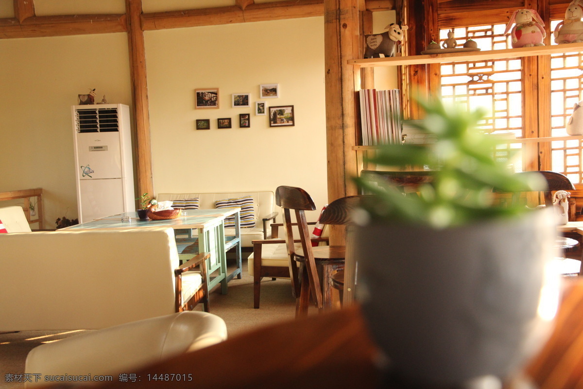 建筑园林 咖啡馆 室内摄影 休息 植物 梅花 洲 蜜桃 梅花洲 午后时光 奶茶铺