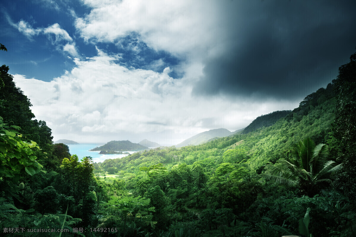 蓝天 下 森林 白云 树林 风景 山水风景 风景图片