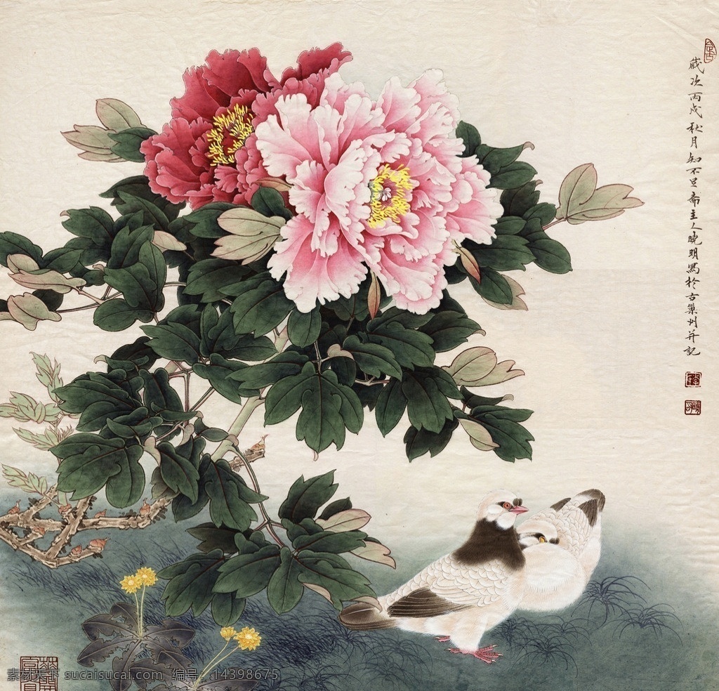 高清 工笔 牡丹 绘画 艺术 国画 工笔画 花 工艺画 装饰画 绘画书法 文化艺术