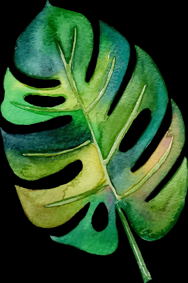 森 系 北欧 热带雨林 手绘 水彩 树叶 森系 动画 水粉 插画 免扣素材 设计素材 生物世界 花草